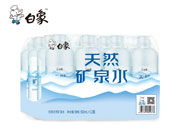 天然矿泉水500ml×12瓶